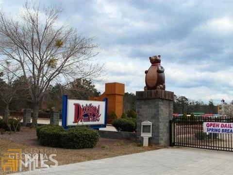 12045 Jojo Ct, Hampton, GA 30228 photo 30