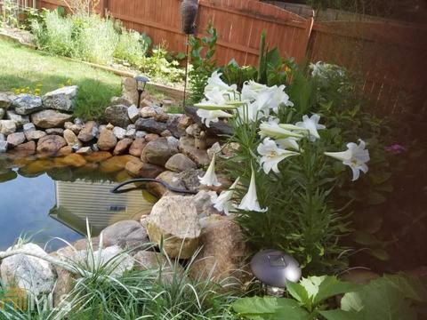 2912 Sunset View Cir, Suwanee, GA 30024 photo 36