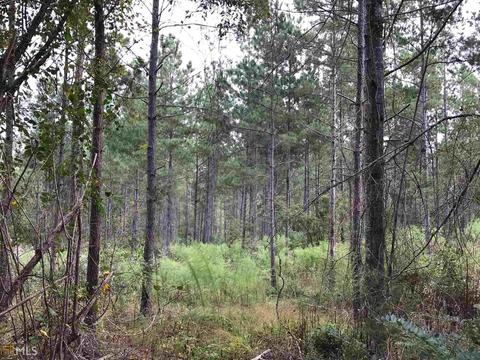 3524 H D Atha Rd, Covington, GA 30014 photo 6