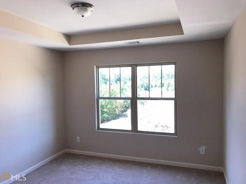 362 Panhandle Pl, Hampton, GA 30228 photo 7