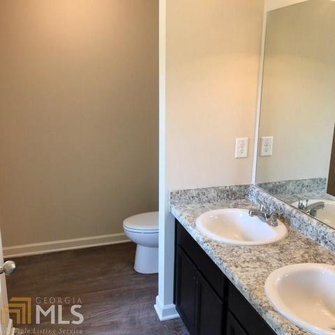 351 Panhandle Pl, Hampton, GA 30228 photo 11