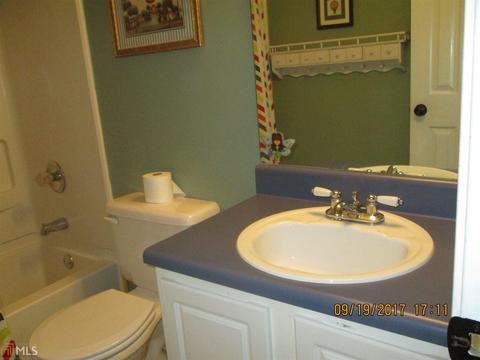315 Lacebark Ln, Hampton, GA 30228 photo 17