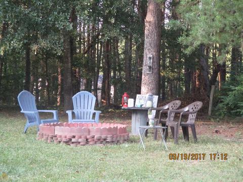 315 Lacebark Ln, Hampton, GA 30228 photo 22