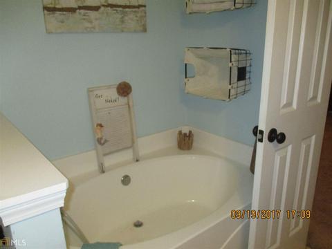 315 Lacebark Ln, Hampton, GA 30228 photo 8