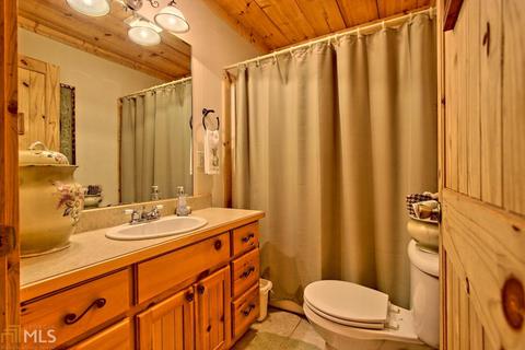 295 Tranquility Ln, Tiger, GA 30576 photo 13