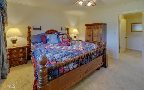 220 Chenocetah Dr, Cornelia, GA 30531 photo 16
