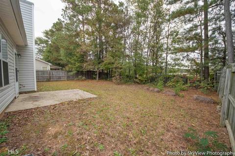 11436 Vinea Way, Hampton, GA 30228 photo 16