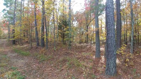 4729 Steadman Rd, Buchanan, GA 30113 photo 8