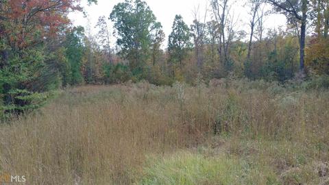 4729 Steadman Rd, Buchanan, GA 30113 photo 7