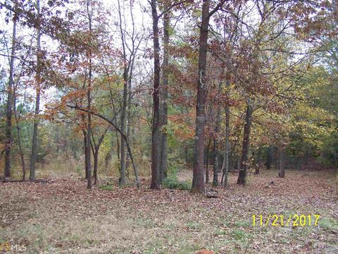 677 Moccasin Gap Rd, Jackson, GA 30233 photo 10