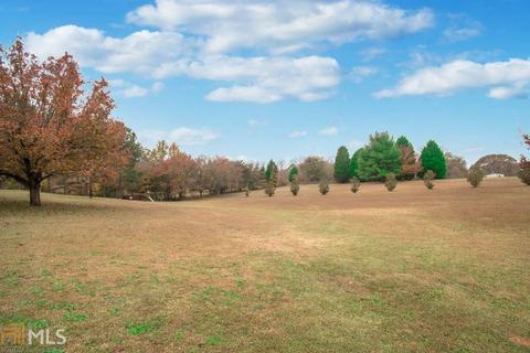 13861 Panhandle Ln, Hampton, GA 30228 photo 30