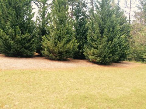 13861 Panhandle Ln, Hampton, GA 30228 photo 22
