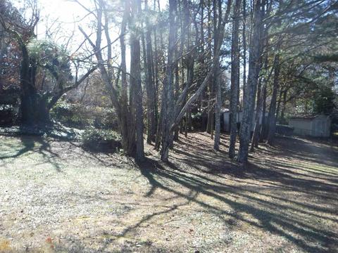 201 Water Oaks Ct, Hampton, GA 30228 photo 22