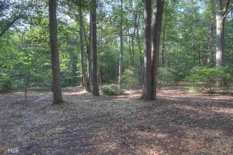13009 Panhandle Rd, Hampton, GA 30228 photo 7