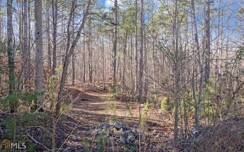 202 Mayes Rd, Toccoa, GA 30577 photo 28