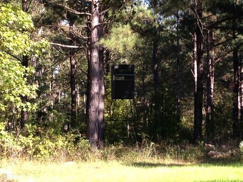 6065 Highway 80, Stapleton, GA 30823 photo 31