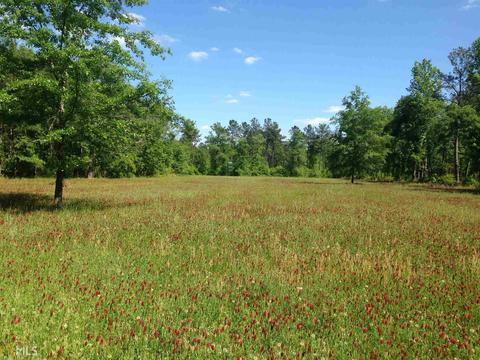 6065 Highway 80, Stapleton, GA 30823 photo 23