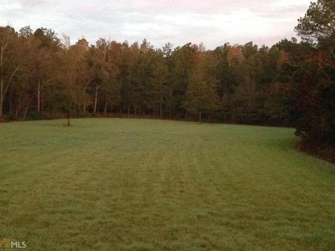 6065 Highway 80, Stapleton, GA 30823 photo 22