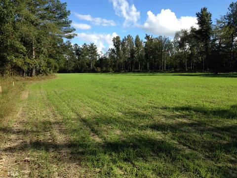 6065 Highway 80, Stapleton, GA 30823 photo 20