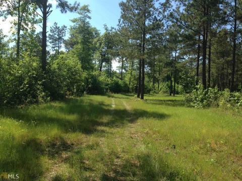 6065 Highway 80, Stapleton, GA 30823 photo 30