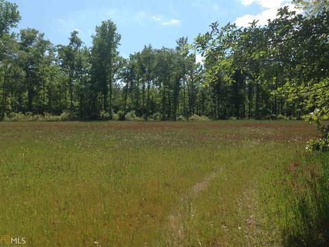 6065 Highway 80, Stapleton, GA 30823 photo 27