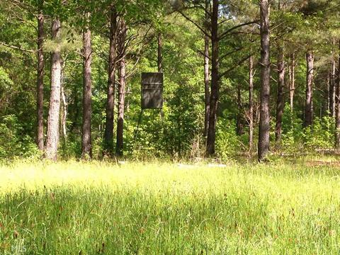 6065 Highway 80, Stapleton, GA 30823 photo 28