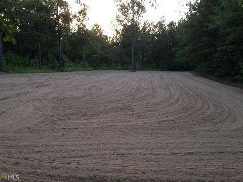 6065 Highway 80, Stapleton, GA 30823 photo 29