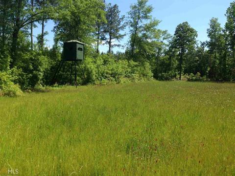6065 Highway 80, Stapleton, GA 30823 photo 21
