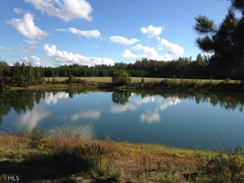 6065 Highway 80, Stapleton, GA 30823 photo 1