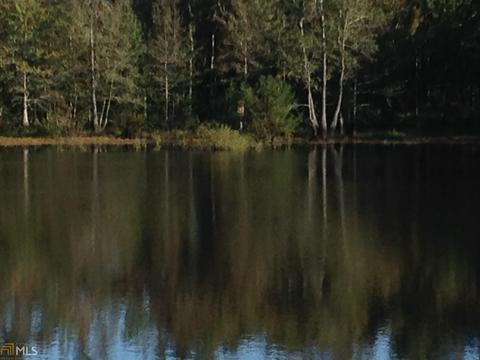 6065 Highway 80, Stapleton, GA 30823 photo 19
