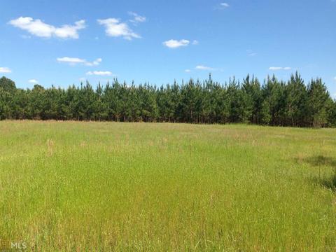 6065 Highway 80, Stapleton, GA 30823 photo 16