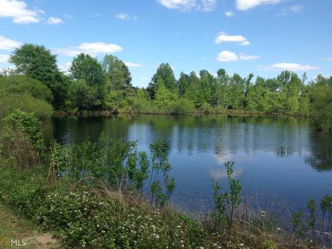 6065 Highway 80, Stapleton, GA 30823 photo 18
