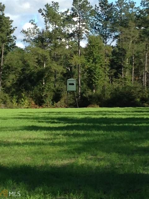 6065 Highway 80, Stapleton, GA 30823 photo 35