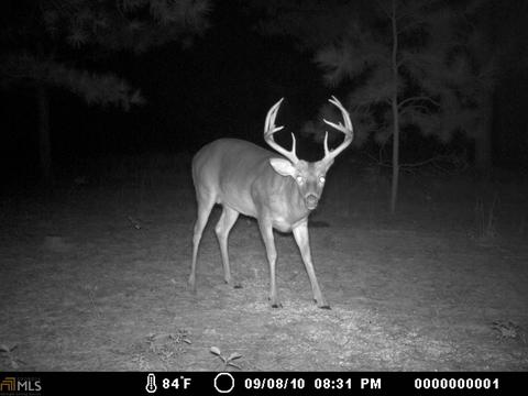 6065 Highway 80, Stapleton, GA 30823 photo 32