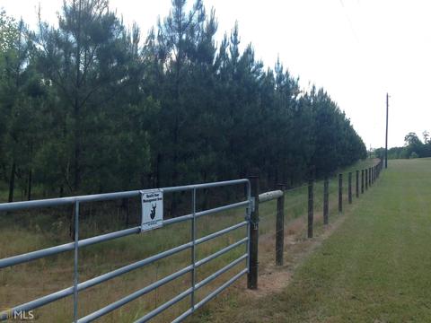 6065 Highway 80, Stapleton, GA 30823 photo 34
