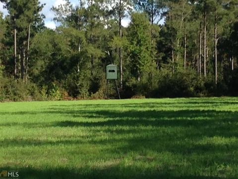 6065 Highway 80, Stapleton, GA 30823 photo 33