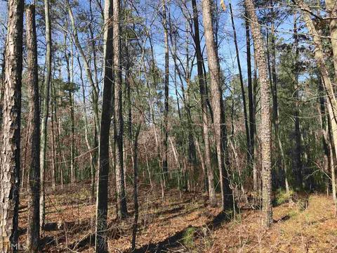 9550 Blakely Way, Winston, GA 30187 photo 12