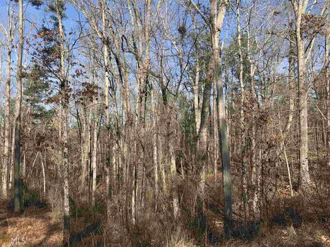 9550 Blakely Way, Winston, GA 30187 photo 14
