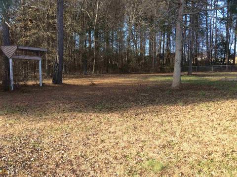 1245 N Hampton Dr, Hampton, GA 30228 photo 13