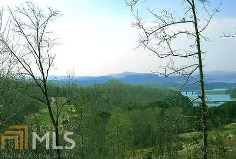 237 Rock Creek Trl, Toccoa, GA 30577 photo 18