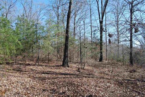 495 Jackson Mill Rd, Demorest, GA 30535 photo 12