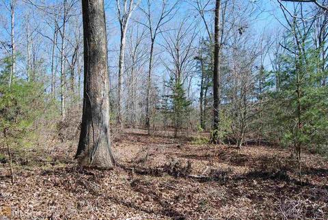 495 Jackson Mill Rd, Demorest, GA 30535 photo 5