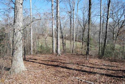 495 Jackson Mill Rd, Demorest, GA 30535 photo 15