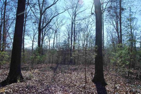 495 Jackson Mill Rd, Demorest, GA 30535 photo 8