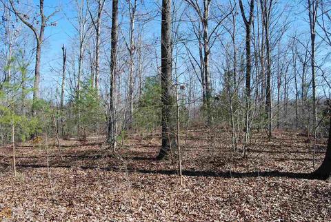 495 Jackson Mill Rd, Demorest, GA 30535 photo 10