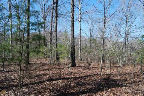 495 Jackson Mill Rd, Demorest, GA 30535 photo 17
