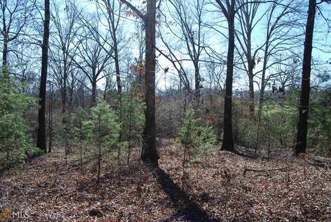 495 Jackson Mill Rd, Demorest, GA 30535 photo 14