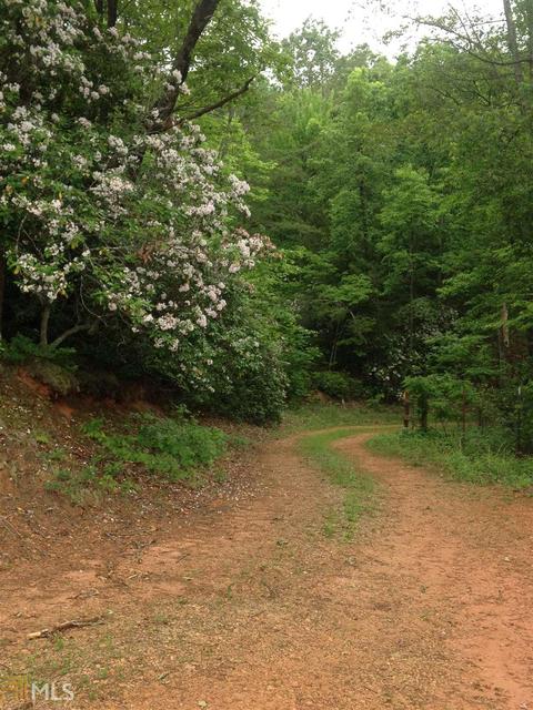 305 Ruby Wooten, Clarkesville, GA 30523 photo 6