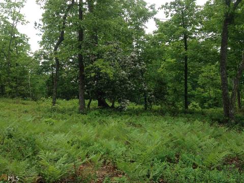 305 Ruby Wooten, Clarkesville, GA 30523 photo 10