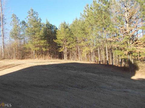 204 Shell Cv, Mcdonough, GA 30252 photo 28